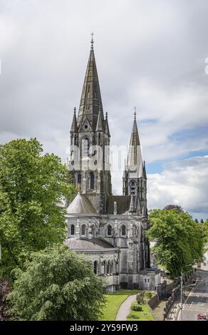 Saint Fin Barre's Cathedral in Cork City, County Cork, Irland, Europa Stockfoto