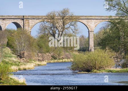 Roxburgh Viaduct, Teviot River, Schottland, Vereinigtes Königreich, Europa Stockfoto