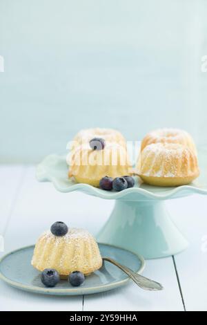 Bundt-Küchlein mit Puderzucker auf der Torte stehen mit Heidelbeeren Stockfoto