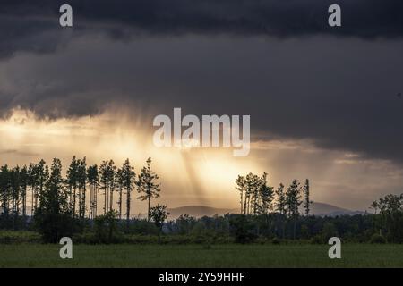 Stürmische Atmosphäre mit Blick auf den Brockenharz Stockfoto