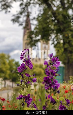 Bilder aus der Bezirksstadt Halberstadt Harz Stockfoto