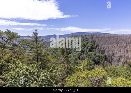 Eindrücke aus Ilsenburg Harz und Umgebung Stockfoto