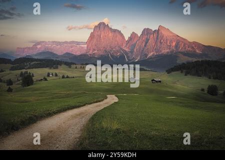 Seiser Alm mit Langkofel Gruppe nach Sonnenuntergang, Südtirol, Italien, Europa Stockfoto