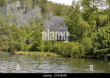 Selketal-Bahn bei Guentersberge Harz unter Dampf Stockfoto