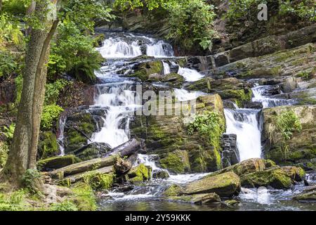 Harz Wasserfall Selkefall Selkefall Selketal Harz Stockfoto