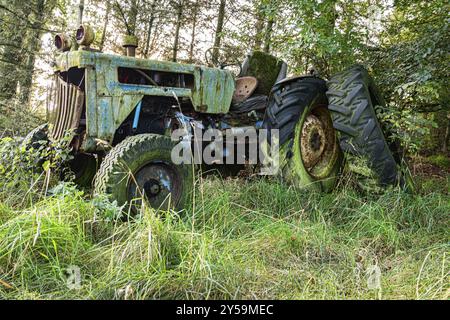 Ein rostiger alter stillgerochter Traktor im Wald Stockfoto