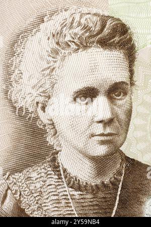 Marie Curie (1867-1934) auf 20-Zlotychon-2011-Banknote aus Polen. Die französisch-polnische Physikerin und Chemikerin ist berühmt für ihre Pionierforschung über Radioaktivi Stockfoto