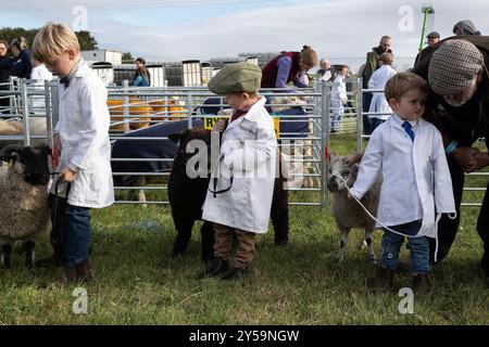 Junge Jungen, die Bauern sein wollen, zeigen ihre Schafe auf der Penistone Agricultural Show Stockfoto