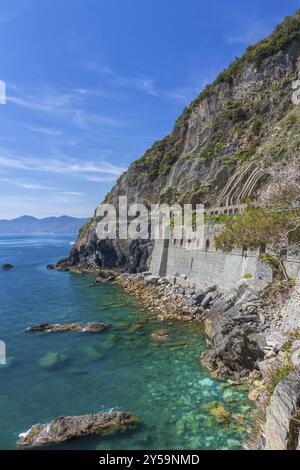 Küste in Cinque Terre mit Via Dell'Amore, Italien, Europa Stockfoto