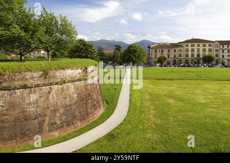 Historische Stadtmauer in Lucca, Toskana, Italien, Europa Stockfoto