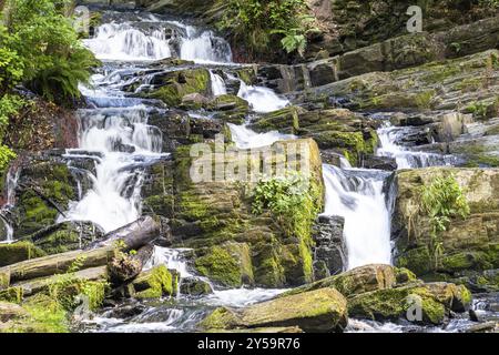 Harz Wasserfall Selkefall Selkefall Selketal Harz Stockfoto