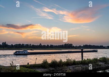 Frachtschiff auf dem Rhein bei Düsseldorf, Sonnenuntergang, Talfahrt, NRW, Deutschland Rhein Düsseldorf *** Frachtschiff auf dem Rhein bei Düsseldorf, Sonnenuntergang, Abfahrt, NRW, Deutschland Rhein Düsseldorf Stockfoto