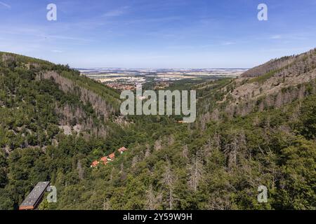 Eindrücke aus Ilsenburg Harz und Umgebung Stockfoto
