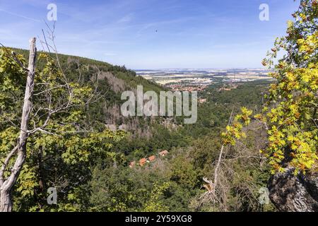 Eindrücke aus Ilsenburg Harz und Umgebung Stockfoto