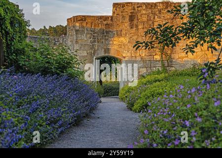 Fotos vom Schlosspark Blankenburg Stockfoto