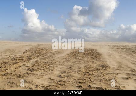 Sandsturm am Leuchtturm Rubjerg Knude in Nordjütland, Dänemark, Europa Stockfoto