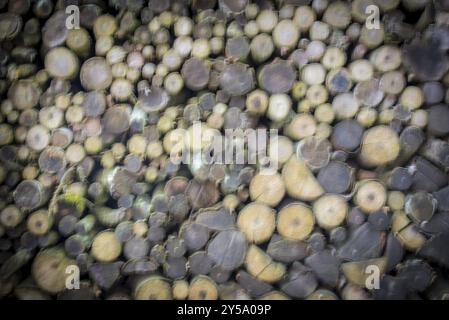 Abstrakter Hintergrund mit einem Stapel Brennholz, das für den Winter vorbereitet wurde, mit verschwommenen Einstellungen, toller Komposition für Ihr Design Stockfoto