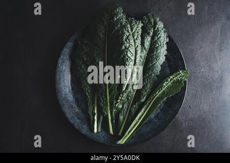 Cavolo nero Schwarzes Grünkohl-Gemüse auf schwarzem Teller Stockfoto