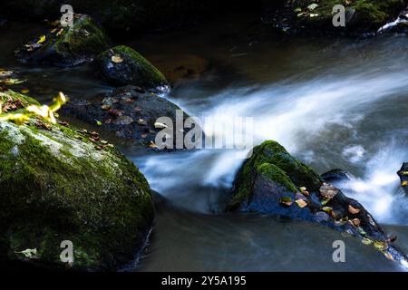 Gelbe Herbstblätter und Felsen mit Moos im Waldbach lange Exposition Hintergrund Stockfoto