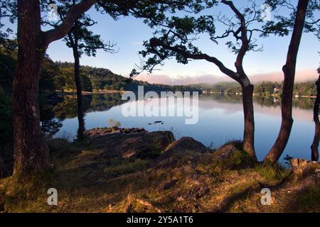 Low Peel In Der Nähe Von Coniston Water, Lake District, Cumbria, England Stockfoto