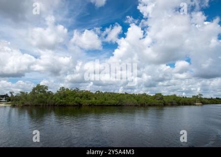 Die Mangroven von Fullerton Island in Jupiter, Florida, USA Stockfoto