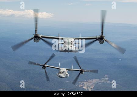 Zwei U.S. Marine Corps MV-22B Ospreys, die der Marine Medium Tiltrotor Squadron (VMM) 163 zugeordnet sind, Marine Aircraft Group 16, 3rd Marine Aircraft Wing, Fly f Stockfoto