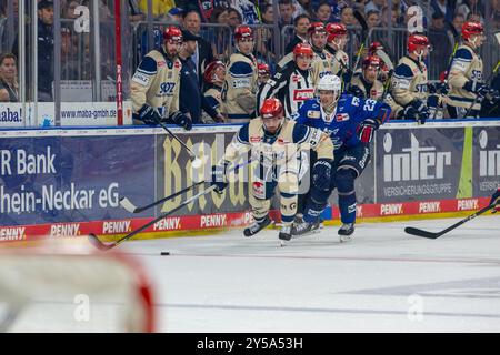 20.09.2024, DEL, Deutsche Eishockey Liga Saison 2024/25, 1. Spieltag: Adler Mannheim gegen Schwenninger Wild Wings. Bild: Alex Trivellato (53, Schwenn Stockfoto