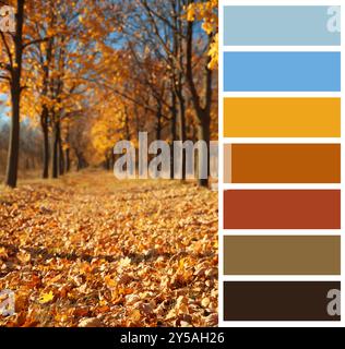 Herbstschattierungen. Wunderschöne Herbstlandschaft und passende Farbpalette Stockfoto