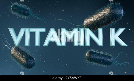 Das 3D-Rendering von E. coli ist eine der Hauptquellen von Vitamin K im menschlichen Darm. Stockfoto