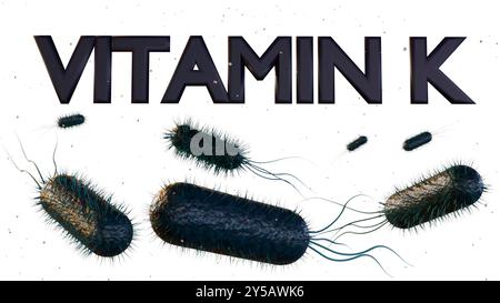 Das 3D-Rendering von E. coli ist eine der Hauptquellen von Vitamin K im menschlichen Darm. Stockfoto