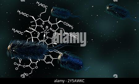 Das 3D-Rendering von E. coli ist eine der Hauptquellen von Vitamin B12 im menschlichen Darm. Stockfoto