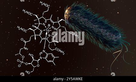 Das 3D-Rendering von E. coli ist eine der Hauptquellen von Vitamin B12 im menschlichen Darm. Stockfoto