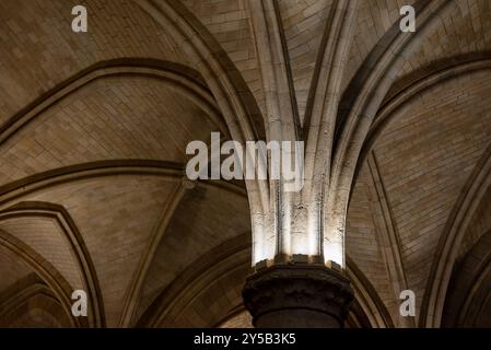 Paris, Frankreich, 13. August 2024, gotische Säulen, Decke der conciergerie, altes Gefängnis, in dem Royalisten während der Französischen Revolution festgehalten wurden Stockfoto