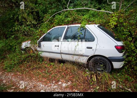 Das alte Auto wird langsam von Vegetation bewachsen - das Konzept der Natur, die sich selbst zurückerobert Stockfoto