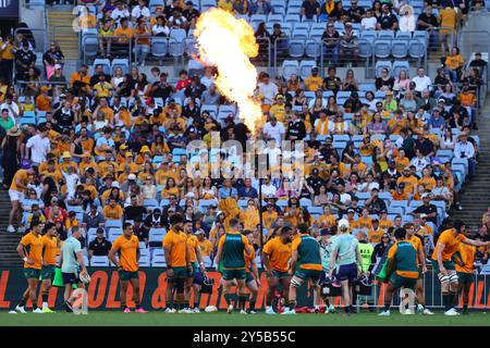 Sydney, Australien. September 2024. Während des Rugby Championship-Spiels zwischen Australien und Neuseeland am 21. September 2024 im Accor Stadium in Sydney, Australien. Foto von Peter Dovgan. Nur redaktionelle Verwendung, Lizenz für kommerzielle Nutzung erforderlich. Keine Verwendung bei Wetten, Spielen oder Publikationen eines einzelnen Clubs/einer Liga/eines Spielers. Quelle: UK Sports Pics Ltd/Alamy Live News Stockfoto