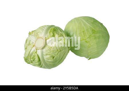 Weißkohl zwei ganze Köpfe isoliert auf weiß. Holländisches Kohl-Gemüse. Brassica oleracea Cultivar. Stockfoto