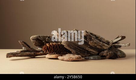Abstrakte Naturszene mit einer Komposition aus Steinen und Trockenschlingen auf beigefarbenem Hintergrund. Kopierbereich. Stockfoto