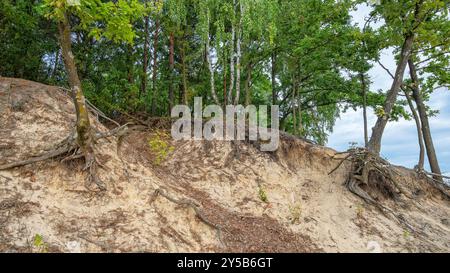 Sandige Klippen auf der Route um den Maziarnia-See in Wilcza Wola, Polen Stockfoto