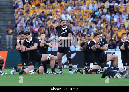 Sydney, Australien. September 2024. Alle Blacks spielen die traditionellen Haka während des Rugby Championship-Spiels zwischen Australien und Neuseeland am 21. September 2024 im Accor Stadium in Sydney, Australien. Foto von Peter Dovgan. Nur redaktionelle Verwendung, Lizenz für kommerzielle Nutzung erforderlich. Keine Verwendung bei Wetten, Spielen oder Publikationen eines einzelnen Clubs/einer Liga/eines Spielers. Quelle: UK Sports Pics Ltd/Alamy Live News Stockfoto