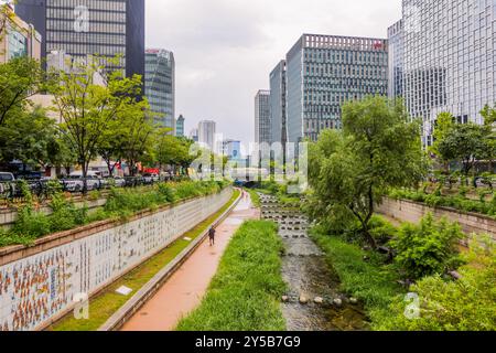 Städtisches Grün am Cheonggyecheon Canal in Seoul, Korea Stockfoto