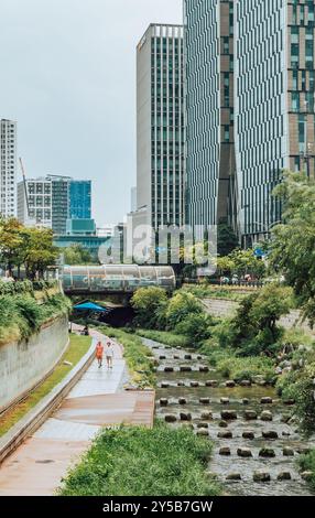 Städtisches Grün am Cheonggyecheon Canal in Seoul, Korea Stockfoto