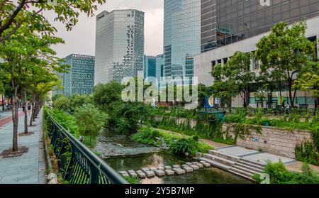 Städtisches Grün am Cheonggyecheon Canal in Seoul, Korea Stockfoto