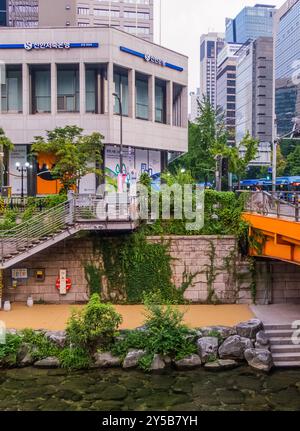 Städtisches Grün am Cheonggyecheon Canal in Seoul, Korea Stockfoto