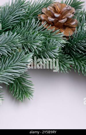 Nahaufnahme eines Abschnitts von satinierten Kiefernästen mit einem einzelnen Kiefernkegel im Fokus. Stockfoto