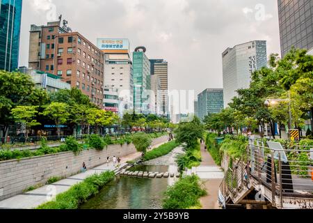 Städtisches Grün am Cheonggyecheon Canal in Seoul, Korea Stockfoto