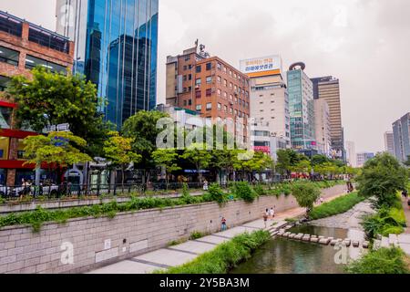 Städtisches Grün am Cheonggyecheon Canal in Seoul, Korea Stockfoto