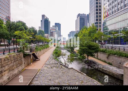 Städtisches Grün am Cheonggyecheon Canal in Seoul, Korea Stockfoto