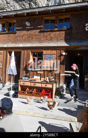 Ebenalp, Schweiz – 13. Juli 2024: Kellnerin des berühmten Berghauses Aescher auf der Ebenalp in den Schweizer alpen Stockfoto