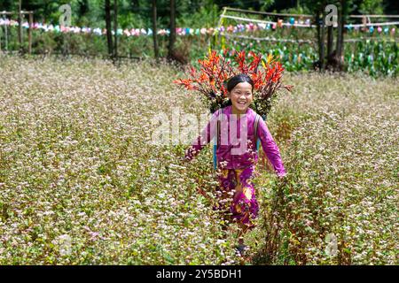 Das junge Hmong-Mädchen läuft durch ein Feld mit Buchweizenblumen in Lung Cam in der Provinz Ha Giang in Vietnam Stockfoto