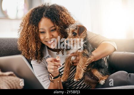 Heim, Tablet und Frau mit Hund auf Sofa zum Entspannen, Entspannen und Spielen. Bester Freund, beste Tiere und glücklicher Besitzer mit Yorkshire Terrier Stockfoto